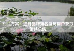 ZBlog方案：提升品牌知名度与用户获取策略总结