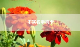不实名手机卡