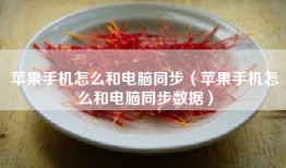苹果手机怎么和电脑同步（苹果手机怎么和电脑同步数据）