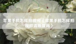 苹果手机怎样拍视频（苹果手机怎样拍视频清晰度高）