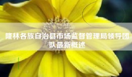 隆林各族自治县市场监督管理局领导团队最新概述