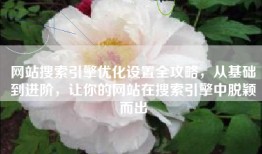 网站搜索引擎优化设置全攻略，从基础到进阶，让你的网站在搜索引擎中脱颖而出