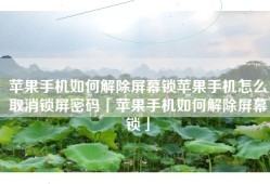 苹果手机如何解除屏幕锁苹果手机怎么取消锁屏密码「苹果手机如何解除屏幕锁」