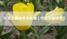 可变光圈技术手机圈「可变光圈技术」