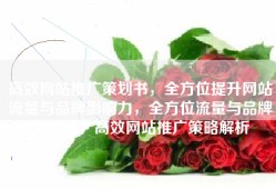 高效网站推广策划书，全方位提升网站流量与品牌影响力，全方位流量与品牌力提升，高效网站推广策略解析