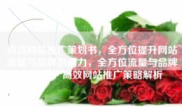 高效网站推广策划书，全方位提升网站流量与品牌影响力，全方位流量与品牌力提升，高效网站推广策略解析