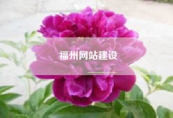 福州网站建设