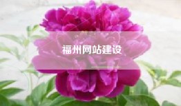 福州网站建设