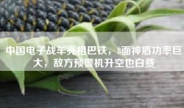 中国电子战车亮相巴铁，8面神盾功率巨大，敌方预警机升空也白费
