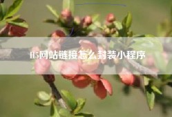 H5网站链接怎么封装小程序