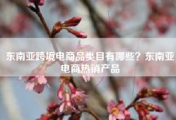 东南亚跨境电商品类目有哪些？东南亚电商热销产品