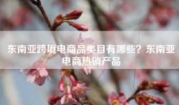 东南亚跨境电商品类目有哪些？东南亚电商热销产品