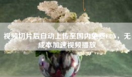 视频切片后自动上传至国内免费CDN，无成本加速视频播放