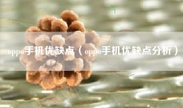 oppo手机优缺点（oppo手机优缺点分析）