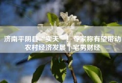 济南平阴县“卖天”！专家称有望带动农村经济发展｜宅男财经