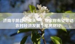 济南平阴县“卖天”！专家称有望带动农村经济发展｜宅男财经