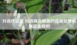 抖音代运营 抖音商品橱窗的违规处理和保证金规则