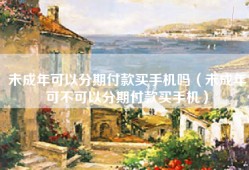 未成年可以分期付款买手机吗（未成年可不可以分期付款买手机）