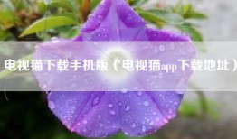 电视猫下载手机版（电视猫app下载地址）