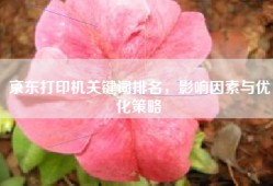 京东打印机关键词排名，影响因素与优化策略