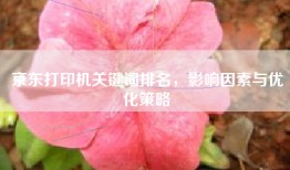 京东打印机关键词排名，影响因素与优化策略