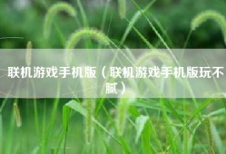 联机游戏手机版（联机游戏手机版玩不腻）
