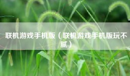 联机游戏手机版（联机游戏手机版玩不腻）