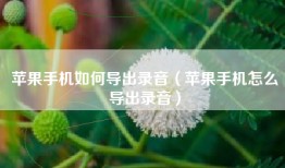 苹果手机如何导出录音（苹果手机怎么导出录音）