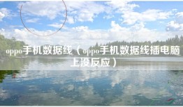 oppo手机数据线（oppo手机数据线插电脑上没反应）