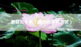 蘑菇云手机（蘑菇云手机测试）