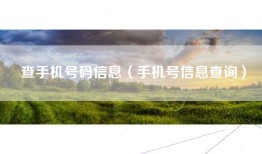 查手机号码信息（手机号信息查询）