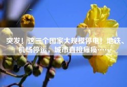 突发！这三个国家大规模停电！地铁、机场停运，城市直接瘫痪……