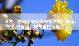 突发！这三个国家大规模停电！地铁、机场停运，城市直接瘫痪……