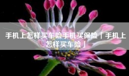 手机上怎样买车险手机买保险「手机上怎样买车险」