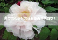网页怎么做？怎样制作自己的网页？
