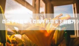 百度手机管家（百度手机管家下载官方）