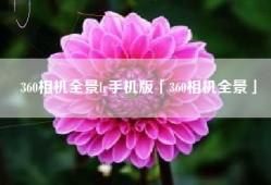 360相机全景lr手机版「360相机全景」