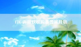 FTC 诉微软收购暴雪案开庭