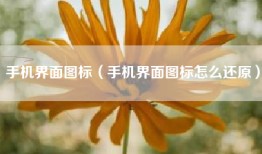 手机界面图标（手机界面图标怎么还原）