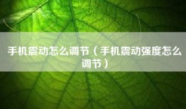 手机震动怎么调节（手机震动强度怎么调节）