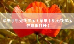 苹果手机无线显示（苹果手机无线显示在哪里打开）