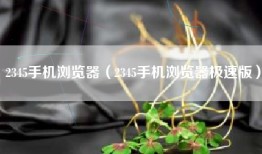 2345手机浏览器（2345手机浏览器极速版）