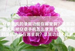 安卓手机的录屏功能在哪里啊？录屏功能大揭秘安卓手机怎么录屏「安卓手机的录屏功能在哪里啊？录屏功能大揭秘」
