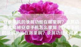 安卓手机的录屏功能在哪里啊？录屏功能大揭秘安卓手机怎么录屏「安卓手机的录屏功能在哪里啊？录屏功能大揭秘」