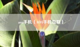 aoa手机（AOA手机互联）