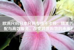 欧洲尺码日本尺码专线不卡顿：精准匹配与高效服务，改变跨境购物的未来！