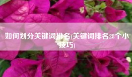 如何划分关键词排名(关键词排名28个小技巧)