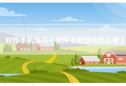 软件手机型号（软件手机型号怎么看）