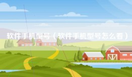 软件手机型号（软件手机型号怎么看）