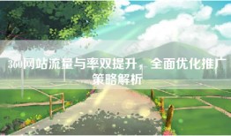 360网站流量与率双提升，全面优化推广策略解析